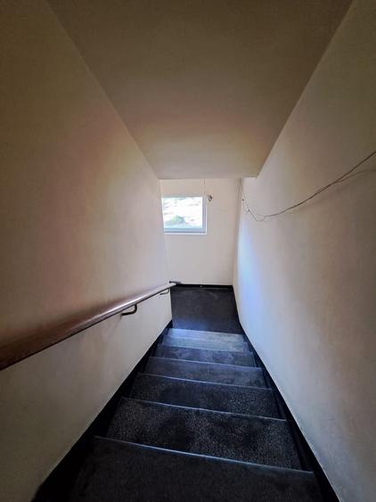 Stefan cel Mare stradal, Aleea Circului - 11