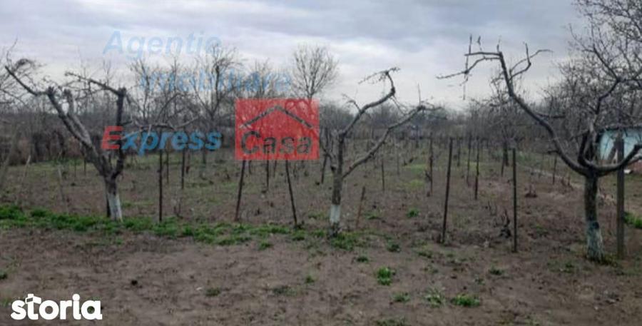 Teren de vanzare 3000 mp, Prisacani (27 km de IASI) - 4