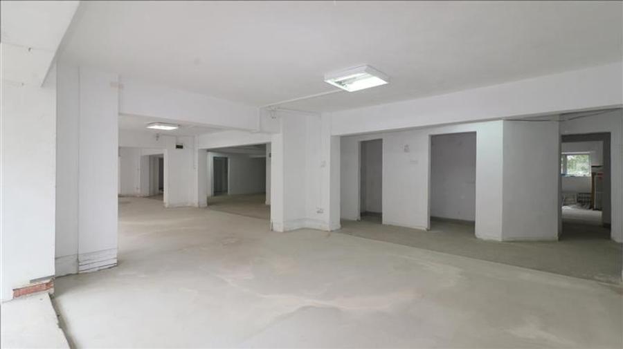 Spatiu comercial 465 m Central - Gara - 12