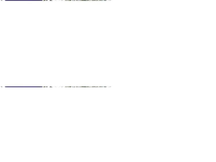 Direct proprietar- teren+Casa de vacanta- Snagov/gruiu - 3