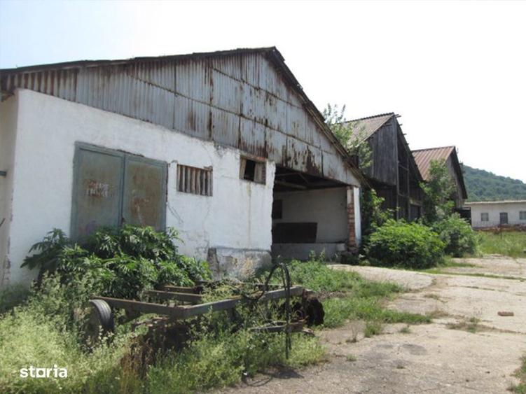 Teren agricol de 12 579 mp si contructii 5 161 mp - 1