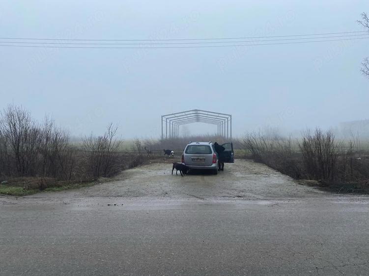 Teren de 2998 mp, în Decindea
