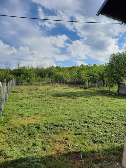 Vanzare Casa Noua Prahova Iordacheanu Varbila + Teren - 10