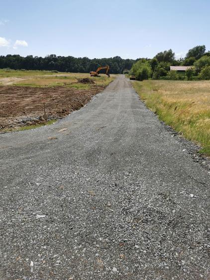 Teren de vanzare padure Giroc - 5