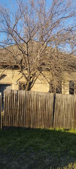 Vanzare casa Obarsia - 4