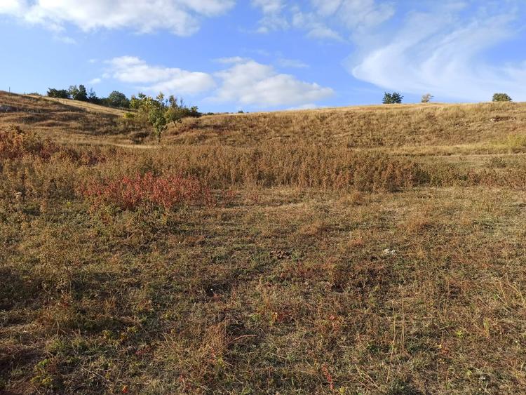 Terenuri in extravilan - 6