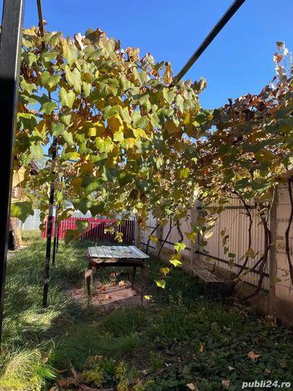 Vand casa in Targu Neam? - 5