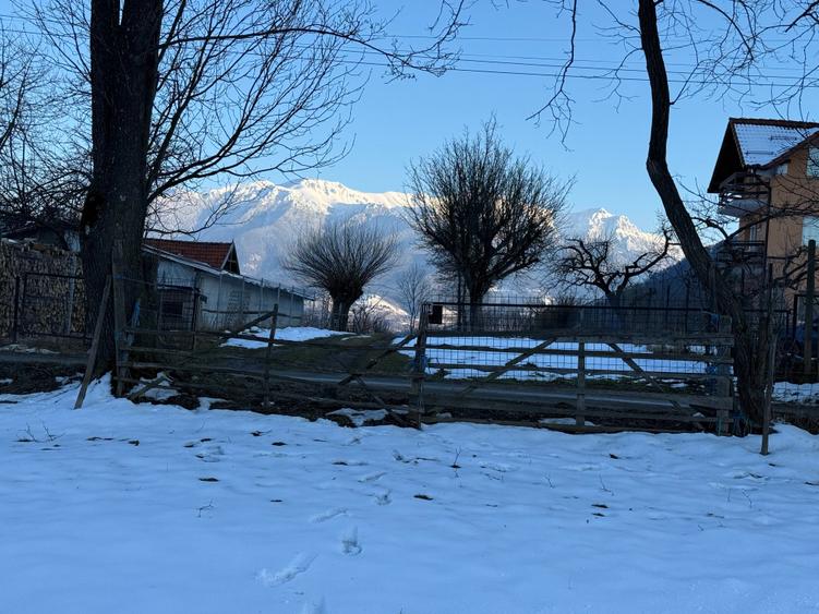 Teren intravilan 763 mp in zona Bran-Tohanita,judetul Brasov - 9