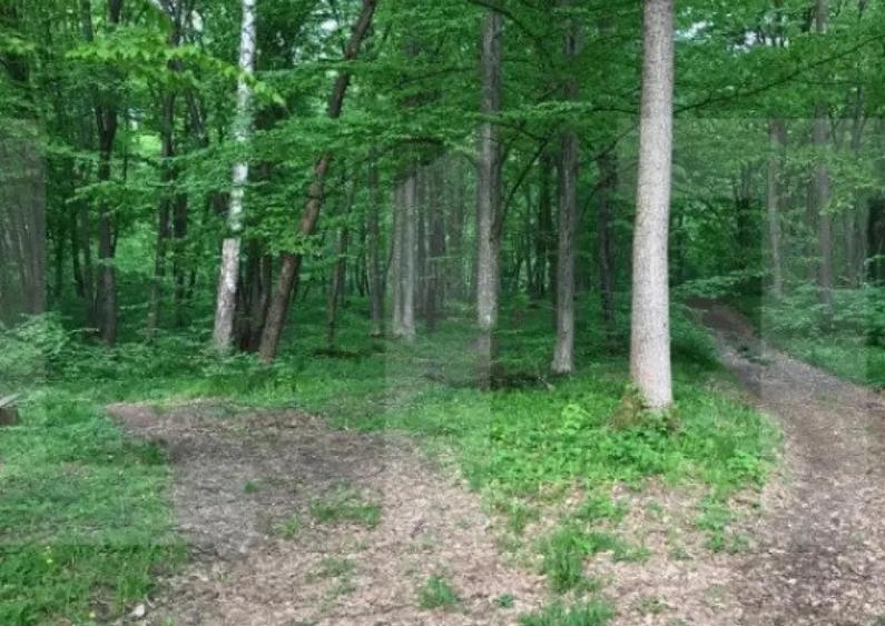 Teren intravilan, 1300 mp, Faget - 3