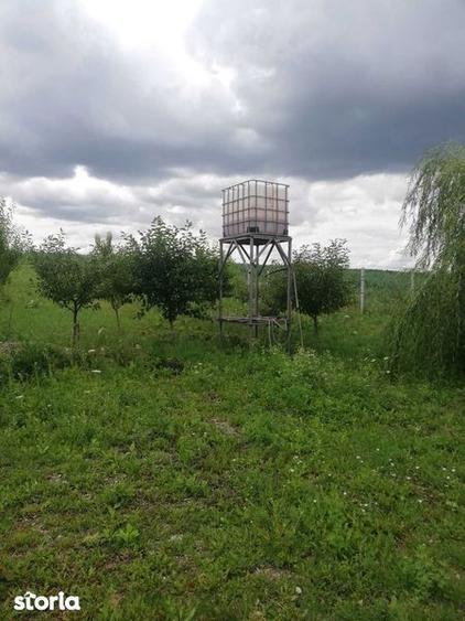 Vand TEREN CU LIVADA 23,5 ARI, Scheia, Trei Movile - 7