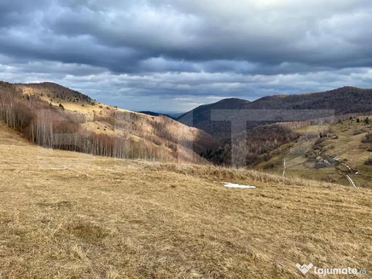 Teren Construibil - Muntele Baisorii , 5000mp - cu posibilit - 2