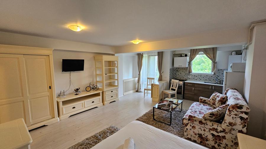 Garsoniera zona Otopeni (Aeroport) bloc NOU, Mobilata-Utilata MODERN - 5