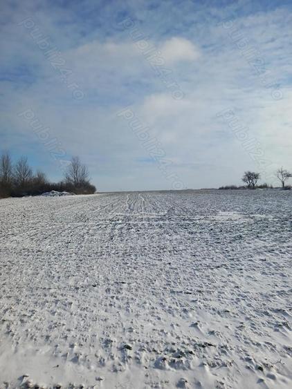 Teren intravilan de vanzare - 5