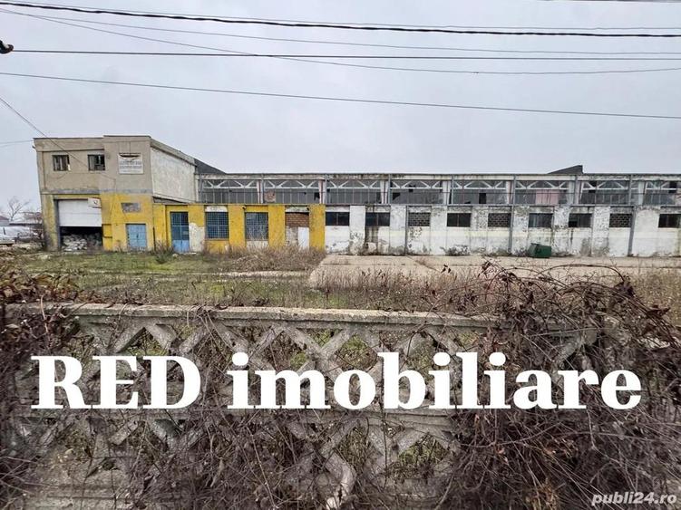 OFERTA - Proprietate industriala de vanzare zona Banovi?a, spate Dedeman, str. Pade? - 4