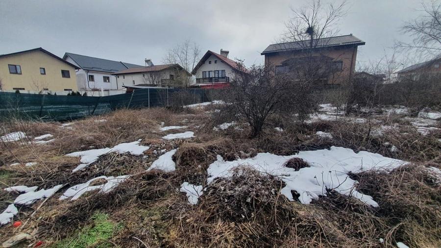 REL4001263 Teren 1000mp I De Vanzare I Cernica I Pantelimon - 2