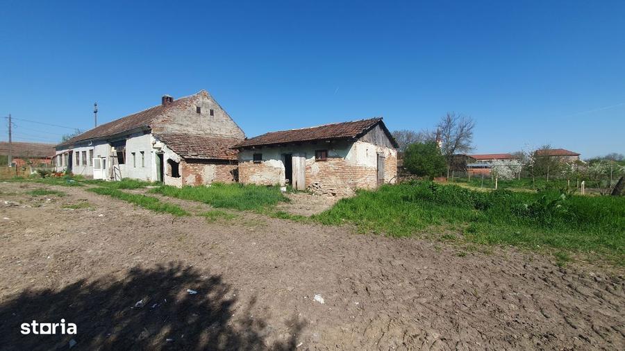 Vand teren cu casa veche in Zadareni - ID : RH-37250-property - 8
