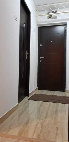 Inchiriez apartamet 2 camere Sos. Pantelimon, Morarilor, Parcul Florilor - 3