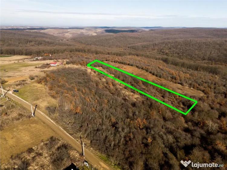 Reco Teren ideal pentru investitii- Saldabagiu de Munte - 1