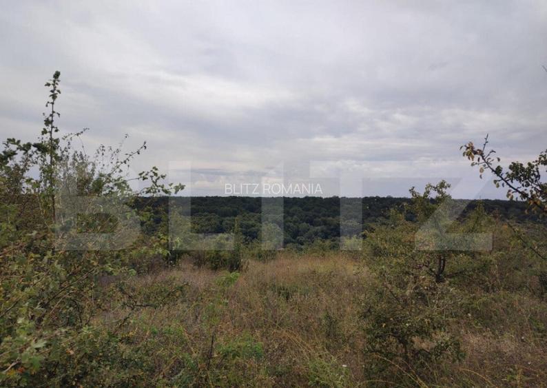 Teren 9000 mp, extravilan, zona Leamna de jos Teren 9000 mp, extravilan, zona Leamna de jos