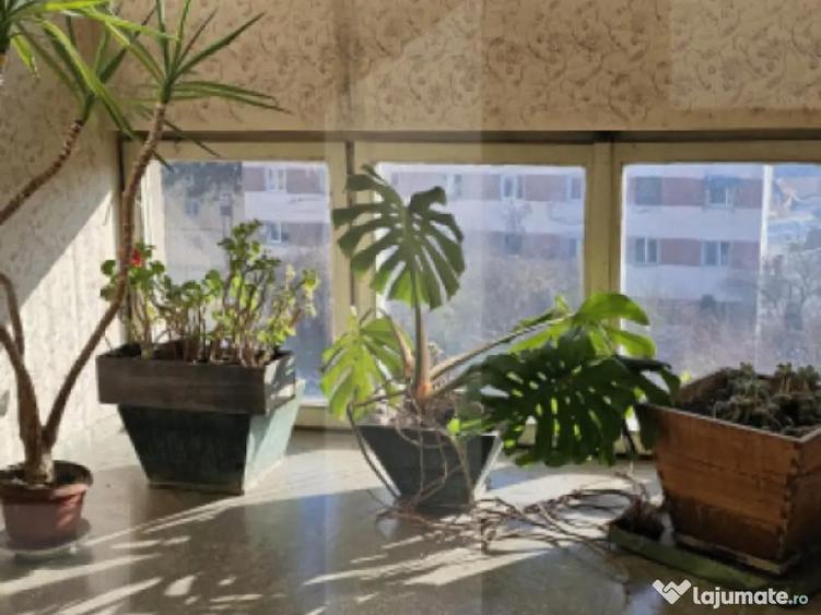 Apartament cu 4 camere, Simeria, Sfantu Gheorghe - 5