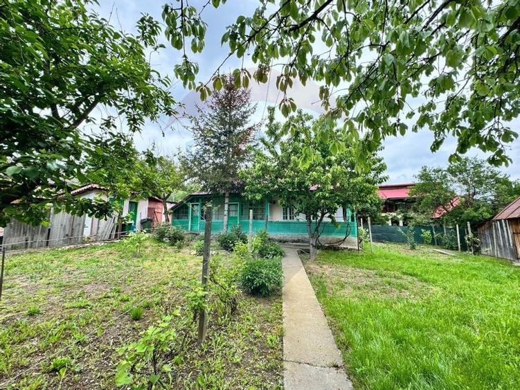 Casă traditionala cu potential de vânzare-HEMEIUS - 4
