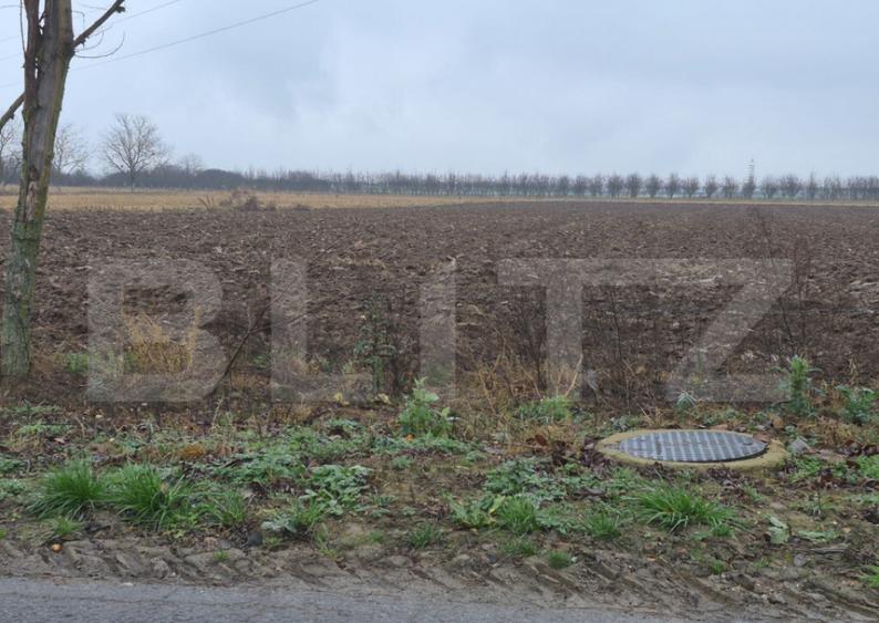 Teren intravilan de vanzare, 2.500 mp, Str Gorunului - 2