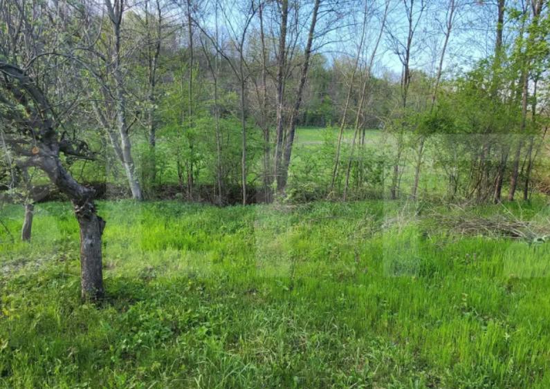 Teren 6650 mp, cu casa nefinalizata de 111 mp, in Nisipoasa - 13