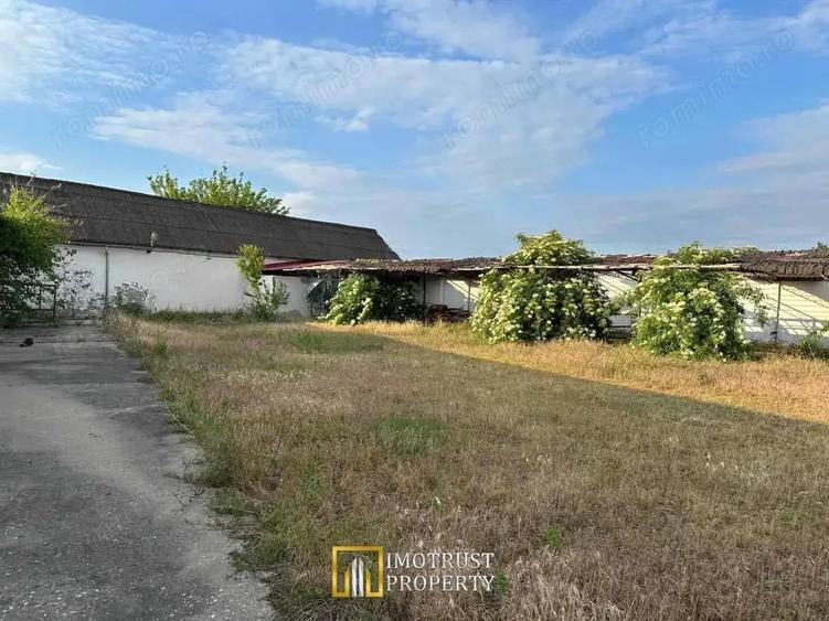 Teren 9.508 mp cu 2 fronturi stradale Sofronea, Arad - 5