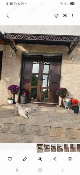 Vand urgent casa Sendreni - 1