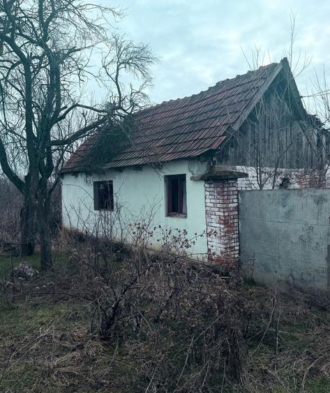 Casa de vanzare in sat Rapsig jud Arad cu 1400 m2 pamant - 3