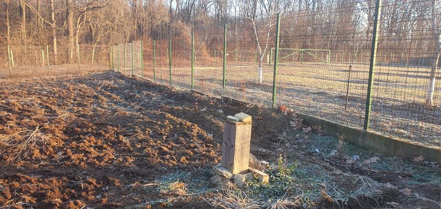 Snagov-Tancabesti, Teren de vanzare langa padure - 4