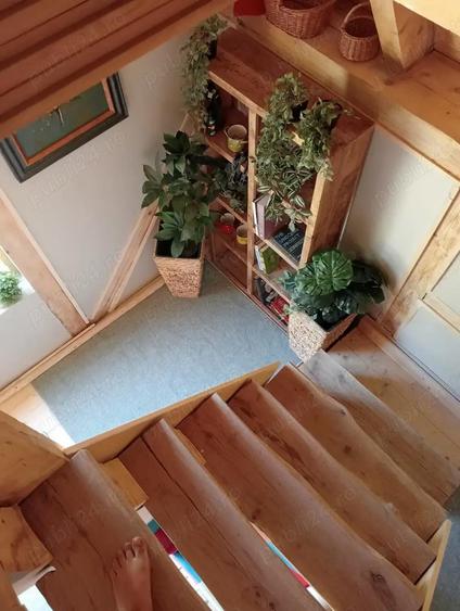 vand cabana brebu nou - 7