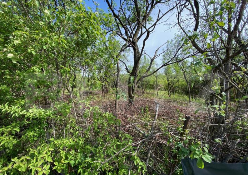 Teren zona Episcopiei - 4