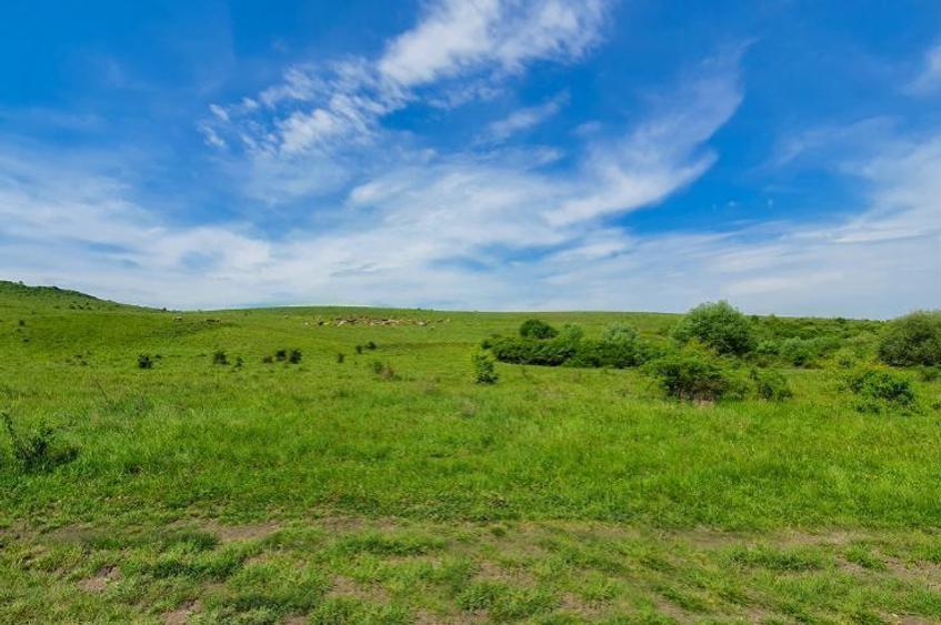 Teren extravilan ideal în comuna Borșa - Cluj - 1