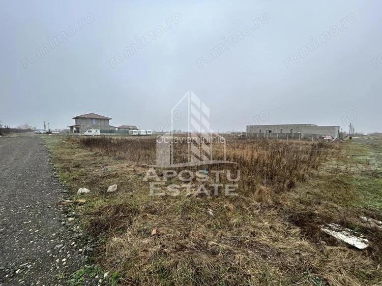 Teren 530 mp, Sacalaz, zona de case noi, zona PUZ Cosma.