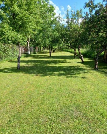 Casa 3 anexe Sacele ultracentral - 8