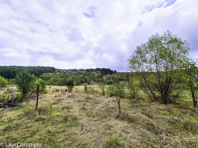 Teren 1,4 hectare Draganu Arges - 5