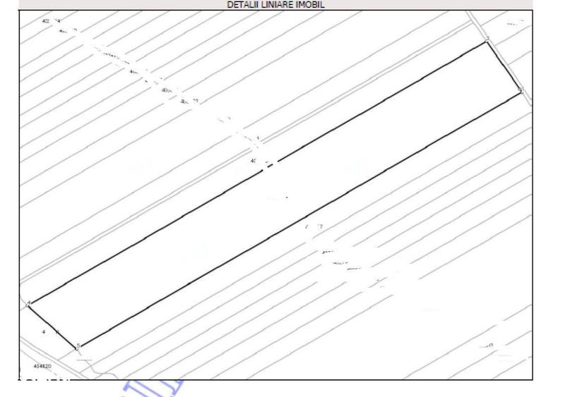 Cota 3/12 Teren extravilan Loc. Fibis, jud. Timis - 5