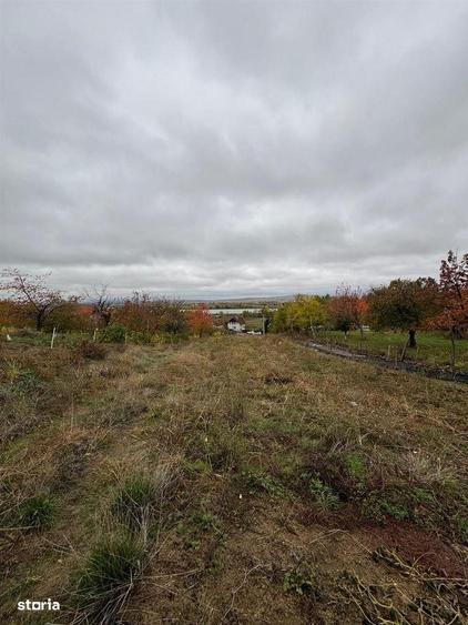 Teren de vanzare Podgoria - 4