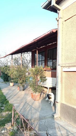 Casa cu gradina - 2