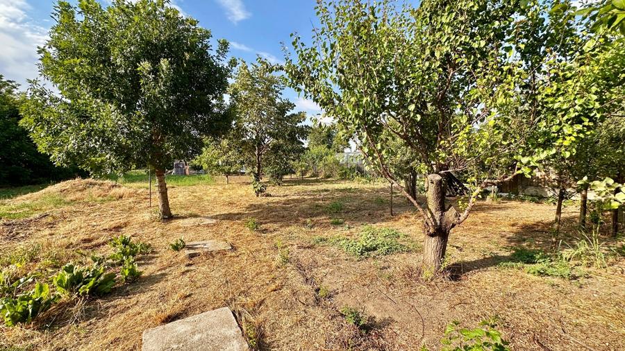 Ciorogarla casa 4 dormitoare, teren 1200 mp - 5