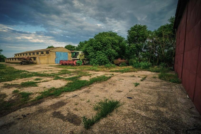 Poarta Alba, hale depozitare productie, teren 9100 mp - 5