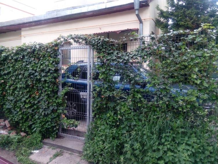 Proprietar, ap 2 cam in casa veche, Mărășești, singur curte - 13