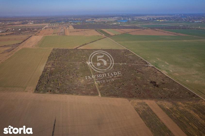 Ocazie- Teren Intravilan de Vanzare- Peris Snagov- Doar 10 euro/mp - 7