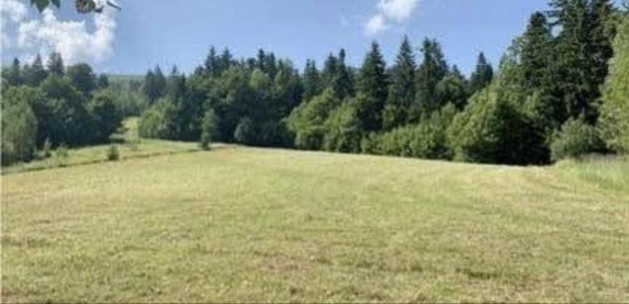 Teren de vanzare Sucevita - 3