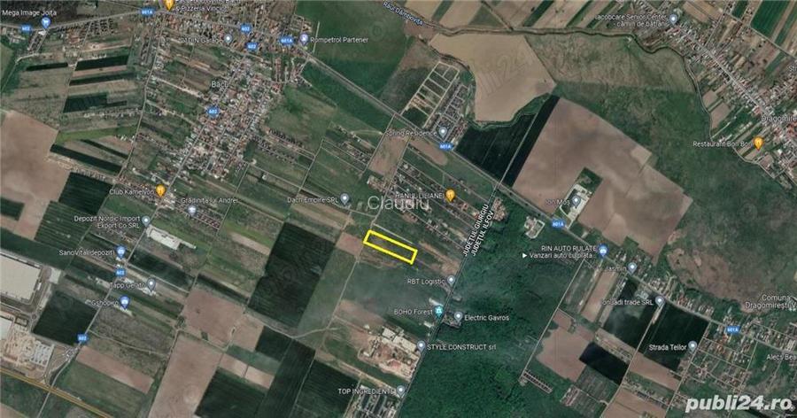 Inchiriez 10.000 mp - teren intravilan langa Padurea Ileana - Dragomiresti