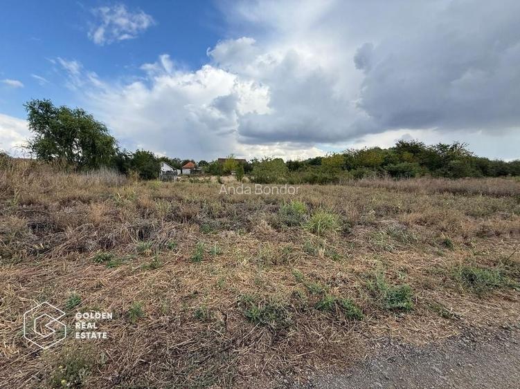 Teren intravilan 538 mp, curti constructii, Sacalaz, Tims