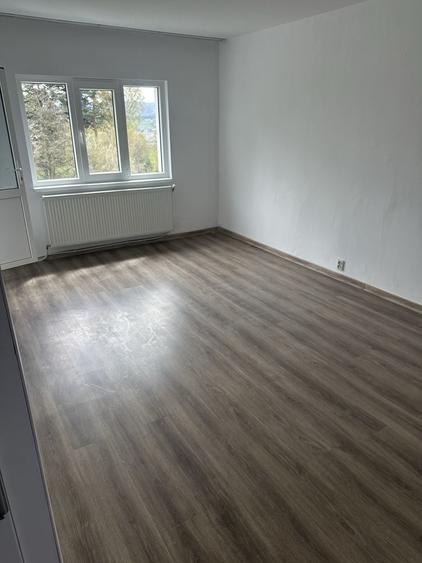 Apartament 2 camere de vanzare - 3