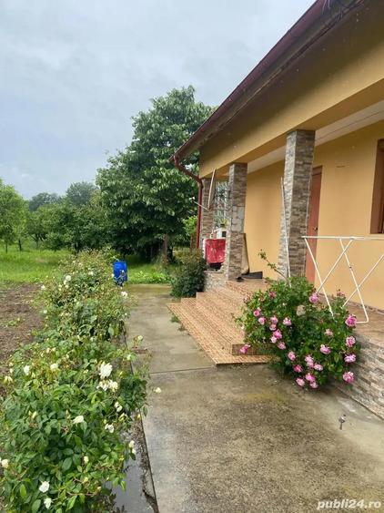 Casa de vanzare la curte cu mult spa?iu verde si zona lini?tita - 5