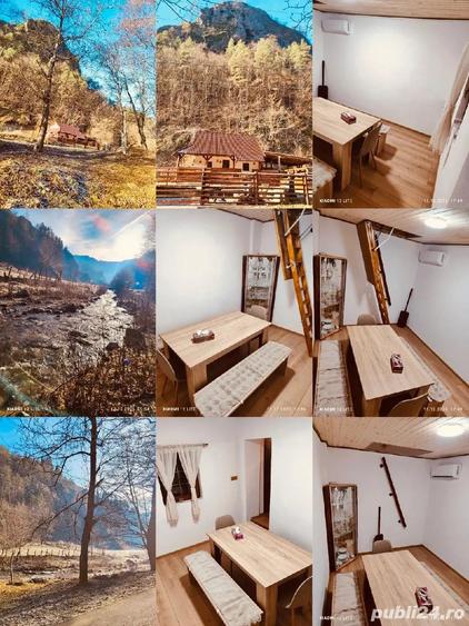 Cabana rustica la munte - 3